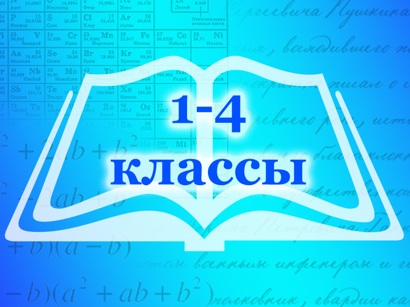 Обеспечение учебниками учащихся младших классов.